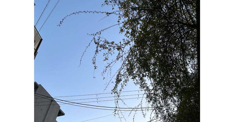 （株）カワイの空