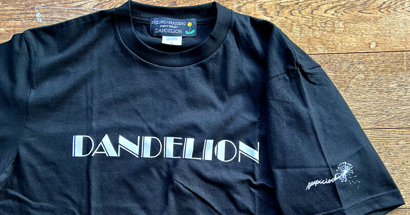 Dandelion project
